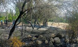 Osmancık'ta yangın paniği: Araziler ve ağaçlar zarar gördü