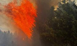 Bayramiç'te orman yangını: Havadan ve karadan müdahale ediyor!