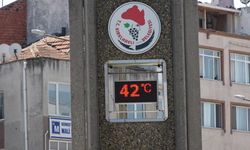 Kırklareli kavruluyor: Sıcaklık 42 dereceye çıktı!
