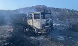 Çanakkale Ayvacık'ta orman yangını: 17 hektar zarar gördü