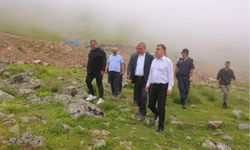 Aydıntepe'nin yaylaları turizme can katacak