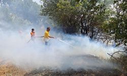 Balıkesir'de orman yangını: Havadan ve karadan müdahale sürüyor!