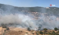 Milas'ta ikinci orman yangını: Havadan ve karadan müdahale ediliyor!