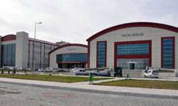 Kars’ta otomobil koyun sürüsüne çarptı: 1 ölü, 6 koyun telef!