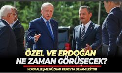 Normalleşme rüzgarı devam ediyor: Özel ve Erdoğan ne zaman görüşecek?