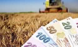 Müjde! Tarımsal destekleme ödemeleri hesaplara aktarılıyor