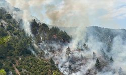 Adana'nın Feke ilçesinde orman yangını