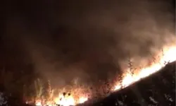 Tunceli'deki yangın söndürüldü