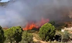SONDAKİKA| Foça'da yangın başladı!