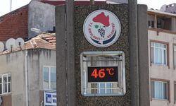 Kırklareli resmen yanıyor! Termometreler 46-47 dereceyi gösterdi