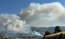 Uşak'taki yangına müdahale sürüyor!