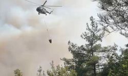 Bursa İznik'te orman yangını alarmı! Ekipler havadan ve karadan müdahale ediyor