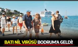 Muğla’da Batı Nil Virüsü alarmı: Tatilci vakası tespit edildi!