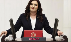 CHP'li Sevda Erdan Kılıç: "DSÖ Maymun Çiçeği'ne karşı bir hafta önce uyardı; Sağlık Bakanlığı sadece rehber hazırladı!"