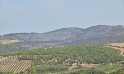 Manisa'da ekipler alevlerin arasında kahramanca mücadele ediyor!