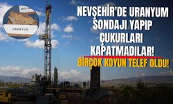 Nevşehir'de uranyum sondajı yapıp çukurları kapatmadılar! Birçok koyun telef oldu!