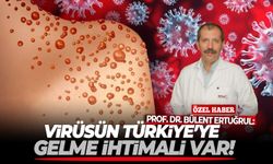 Uzmanından korkutan uyarı: Bu virüsün Türkiye'ye gelme ihtimali var!