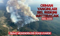 Ziraat Mühendisleri odası uyardı! Orman yangınları sel riskini arttıracak