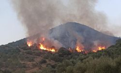 İzmir Tire'de orman yangınıyla ilgili 3 kişi tutuklandı