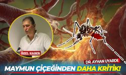 Dr. Ayhan uyardı: Maymun çiçeğinden daha kritik!