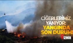 İzmir'in ciğerleri yanıyor: Yangında son durum!