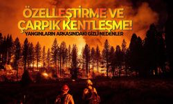 Yangınların arkasındaki gizli nedenler: Özelleştirme ve çarpık kentleşme!