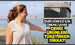 İzmir Körfezi için önemli uyarı: Deniz ürünleri tüketirken dikkat!