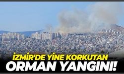 İzmir'de yine korkutan orman yangını!