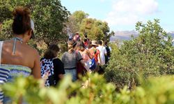 Bodrum'da Erasmus öğrencileriyle temizlik seferberliği!