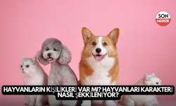 Hayvanların Kişilikleri Var mı? Hayvanları Karakteri Nasıl Şekilleniyor?