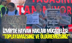 İzmir'de hayvan hakları mücadelesi: "Toplayamazsınız ve öldüremezsiniz"