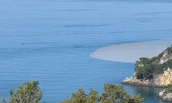 Görenleri şaşkına çevirdi! Bartın'da denizin rengi kahverengiye döndü