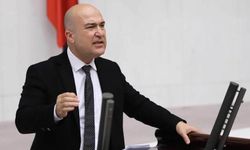 CHP'li Bakan'dan Valiler Kararnamesi'ne, 'parti devletin somutlaşmış hali' tepkisi