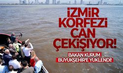 Bakan Kurum Büyükşehir’e yüklendi: İzmir Körfezi can çekişiyor!