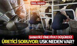 Sanayici yine fiyat düşürdü! Üretici soruyor: USK neden var?