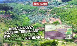 Kemalpaşa'ya 'Lojistik Tesis Alanı' için 500 yıllık zeytin ağaçlarına kıydılar