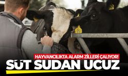 Hayvancılıkta alarm zilleri çalıyor: Süt sudan ucuz