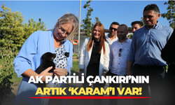 AK Partili Ceyda Bölünmez Çankırı sahiplendiği yavru köpeğe 'Karam' adını verdi...