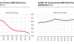 Dolar kuru beklentisi 36,63 liraya geriledi