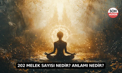 202 Melek Sayısı Nedir? Anlamı Nedir?