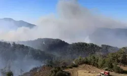 Muğla orman yangınlarında çalışmalar ve tahliye süreçleri hızla devam ediyor