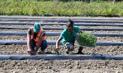 Kuşadası Belediyesi’nden sosyal yardım