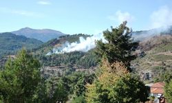 Muğla'nın Köyceğiz ilçesinde orman yangını