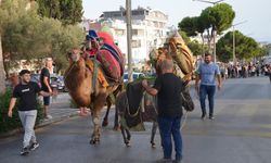 Didim Zeytin Festivali 2024: Renkli açılış kortejiyle başladı