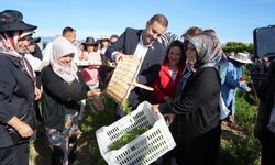 Balıkesir'de kadın çiftçilere kırmızı halı İle karşılama