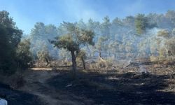 Muğla Milas’ta orman yangını kontrol altına alındı