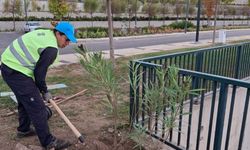 Balıkesir Büyükşehir Belediyesi’nden övgü dolu ödül