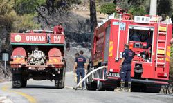 Muğla Büyükşehir Belediyesi'nin orman yangınlarına müdahale çalışmaları