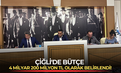 Çiğli'de bütçe 4 milyar 200 milyon TL olarak belirlendi!