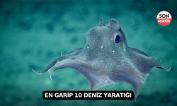 En Garip 10 Deniz Yaratığı